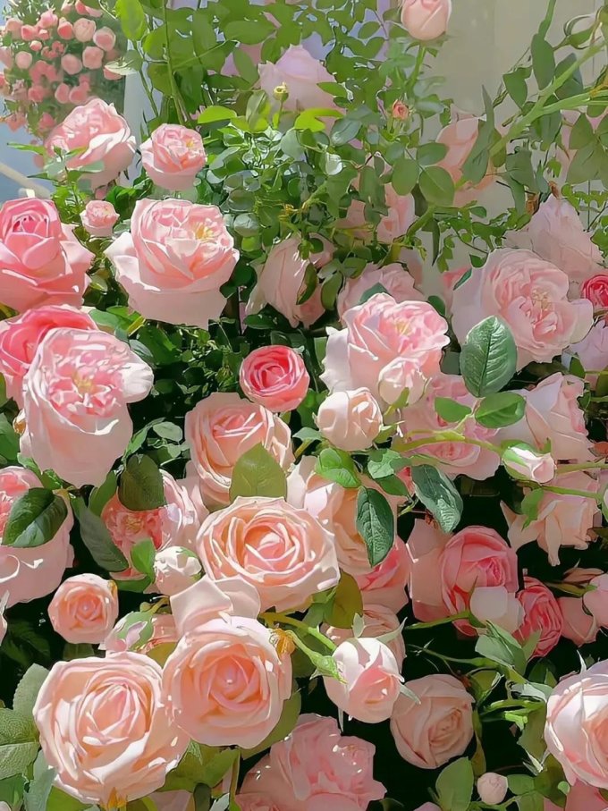 鲜花