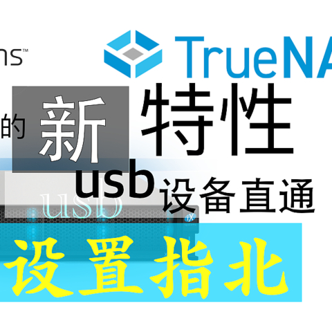 TrueNAS Scale 22.12.1 惊喜新特性——usb设备直通（我用绿联usb网卡来简单示例一下）