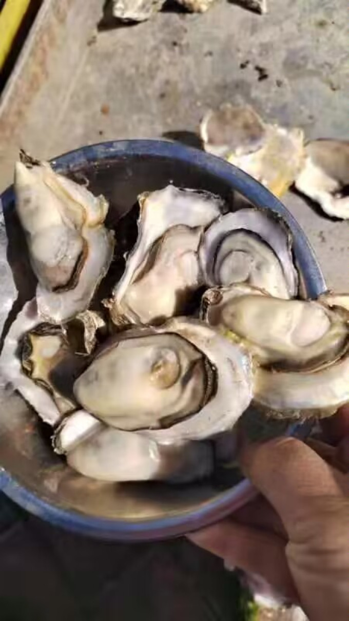 海鲜水产