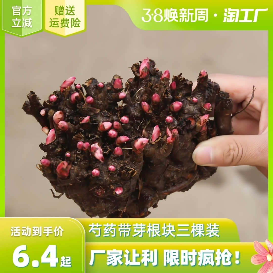 种植一分生活,收获一份幸福