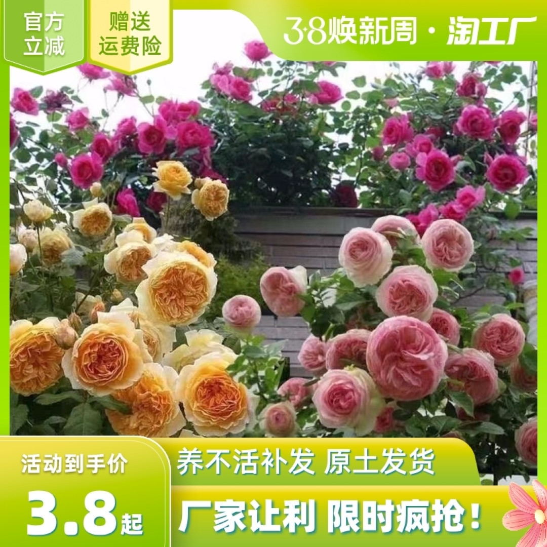 种植一分生活,收获一份幸福