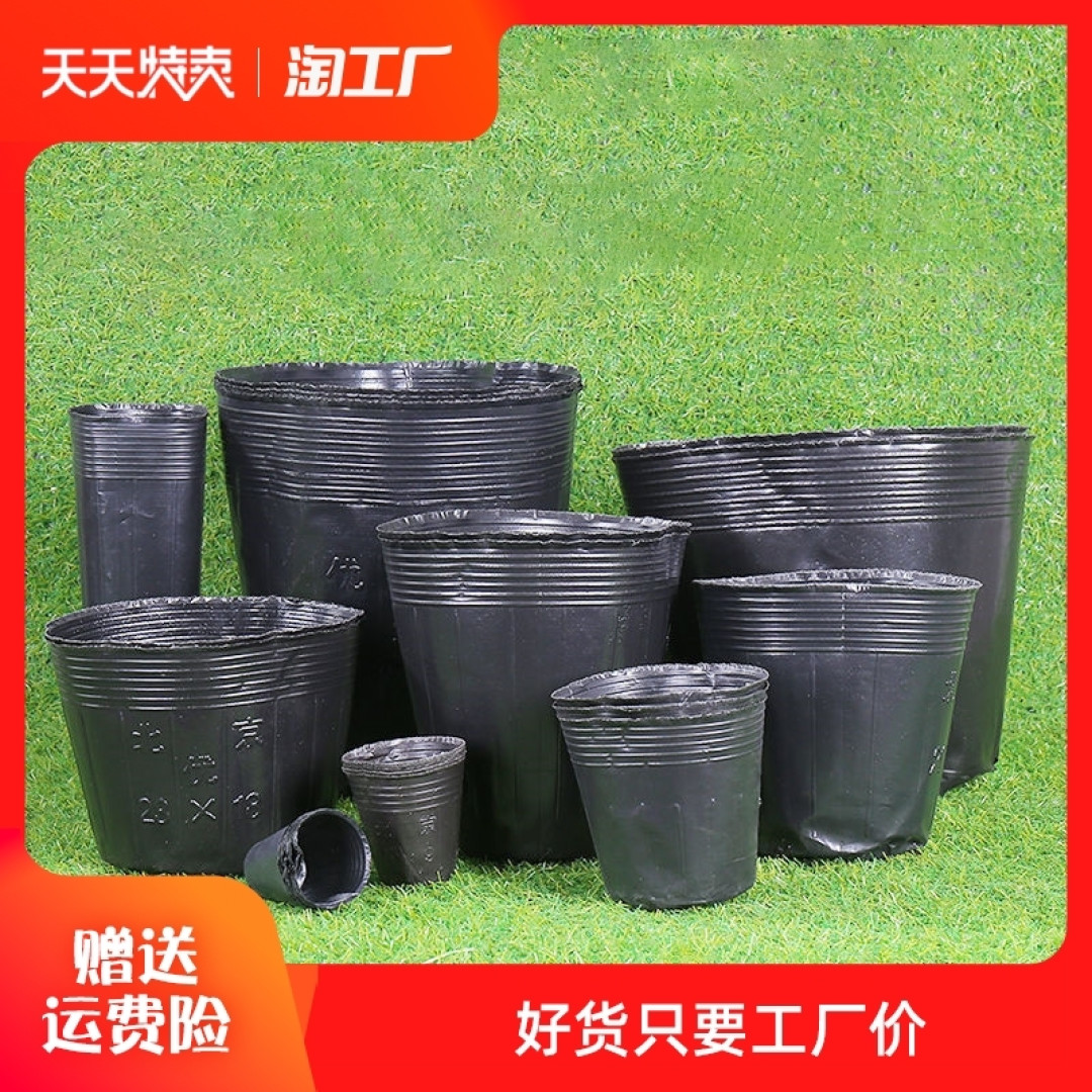 种植一分生活,收获一份幸福