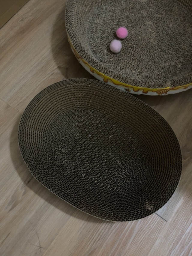 椭圆形的猫抓板，很小一个，质量不错。我家