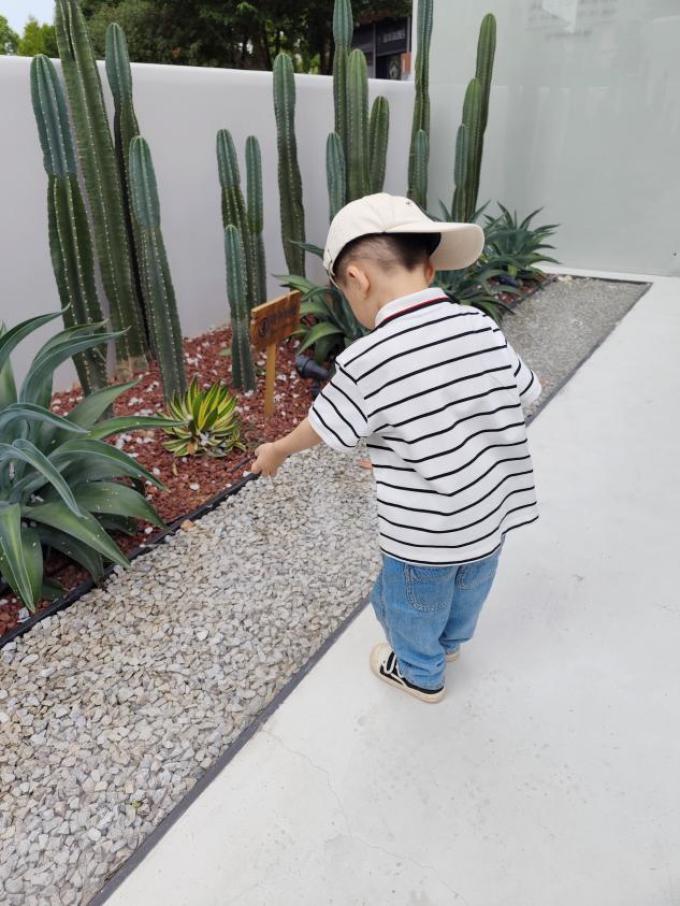 亨氏果汁果泥