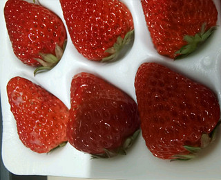 春天正是吃草莓的好时候