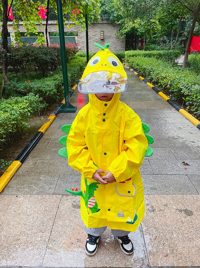 最爱的恐龙帮我遮风挡雨