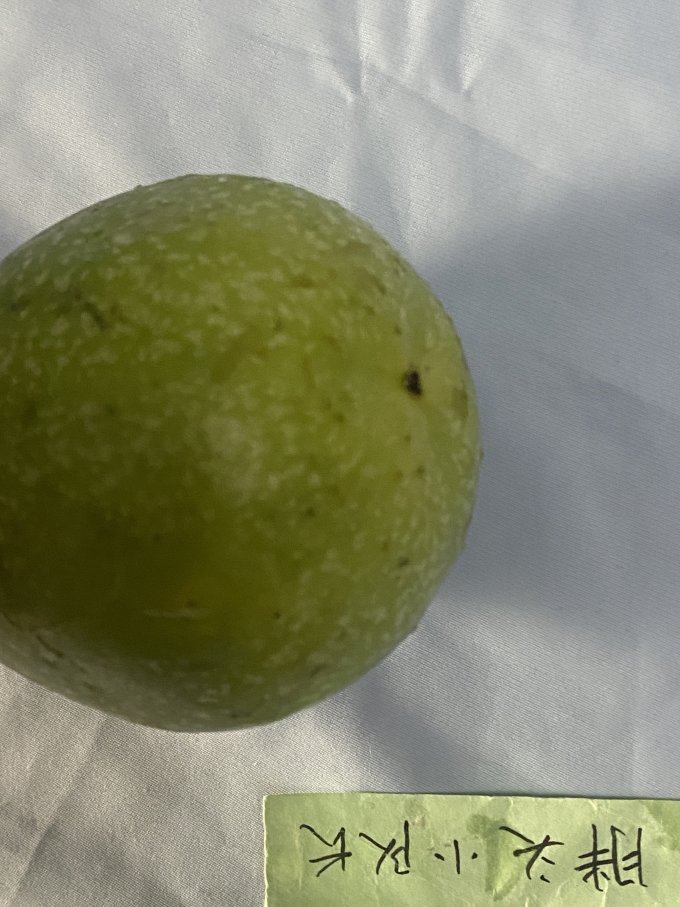 张小壮新鲜水果