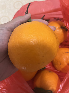 纯甜无酸，好好吃的橘子🍊