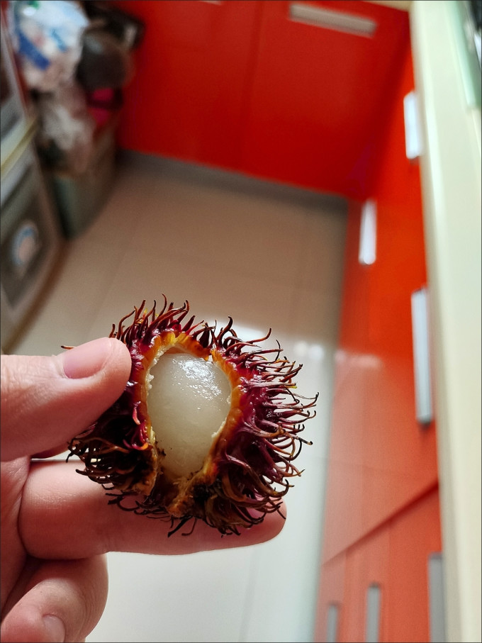 飞猴其他水果