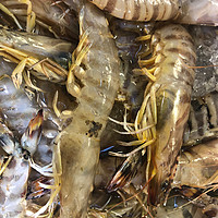 减脂笔记-多吃海虾少吃肉