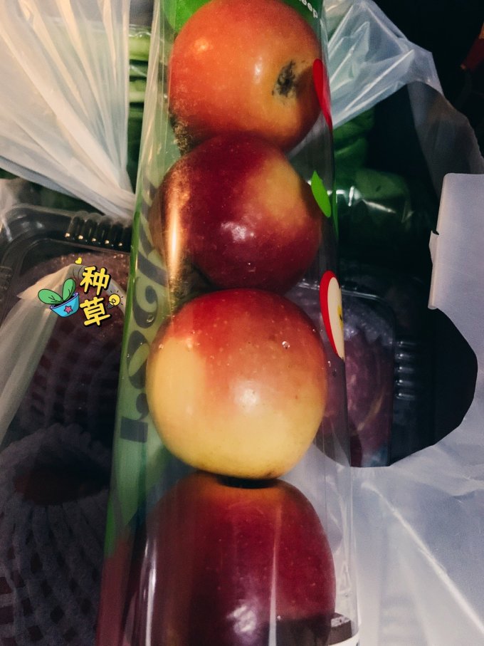 乐淇苹果