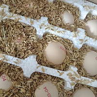美食 篇一百三十：助力巴巴农场一分钱买的农家土鸡蛋