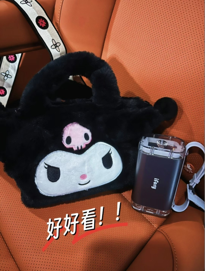 安福瑞移动电源