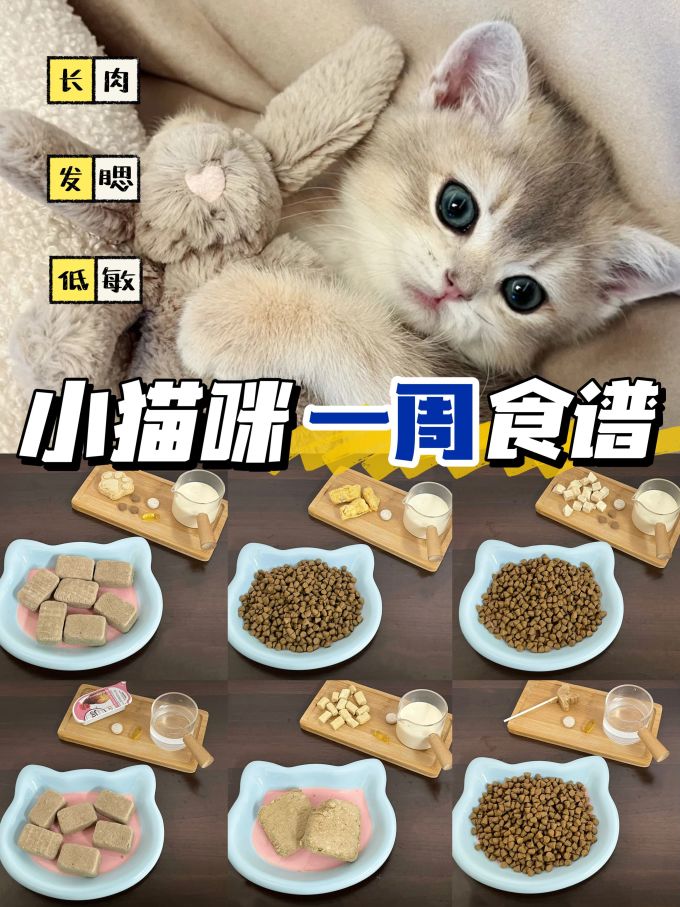 彼诞兔子粮