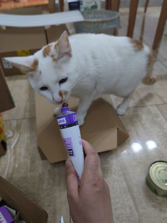卫仕宠物营养