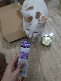 猫咪吐粮食了，买个化毛膏吃吃