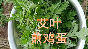 家常美食 篇一：新鲜艾叶煎鸡蛋，让人无法自拔的美食