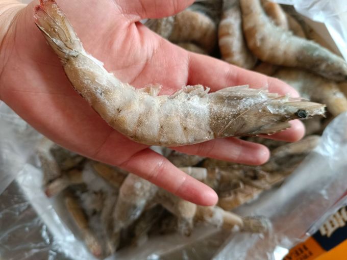 大黄鲜森虾类