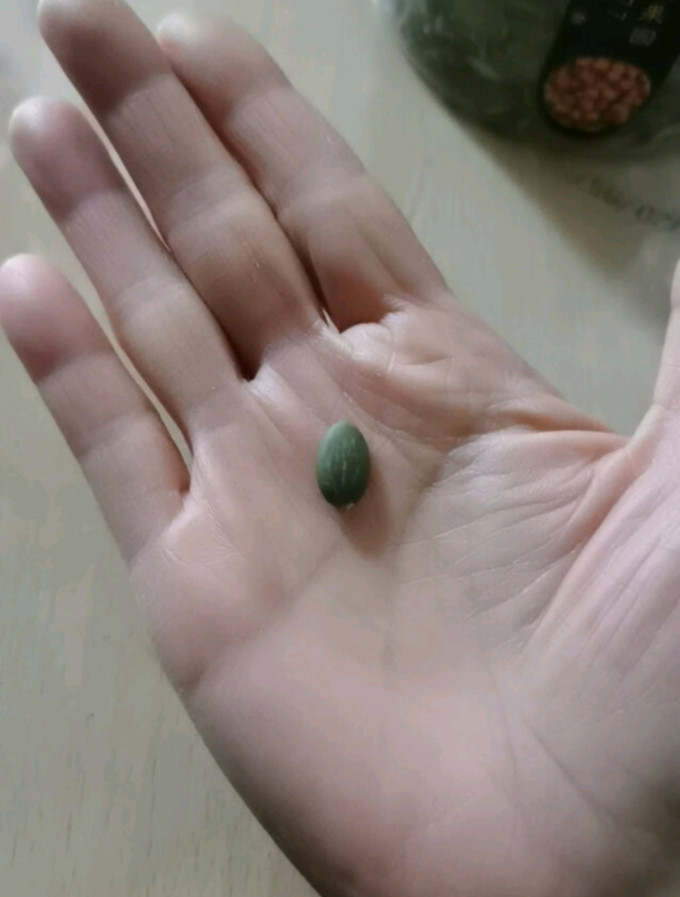 汀然坚果炒货