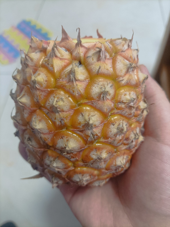 其他水果