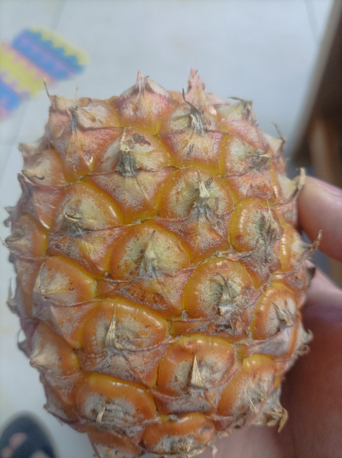 其他水果