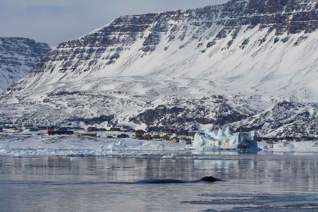 如果要去北极，那你一定得了解格陵兰岛
