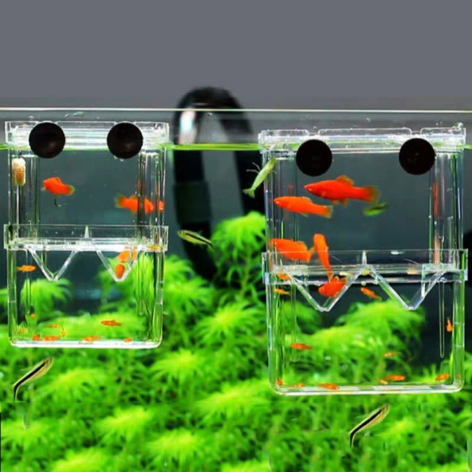 派乐特水族设备