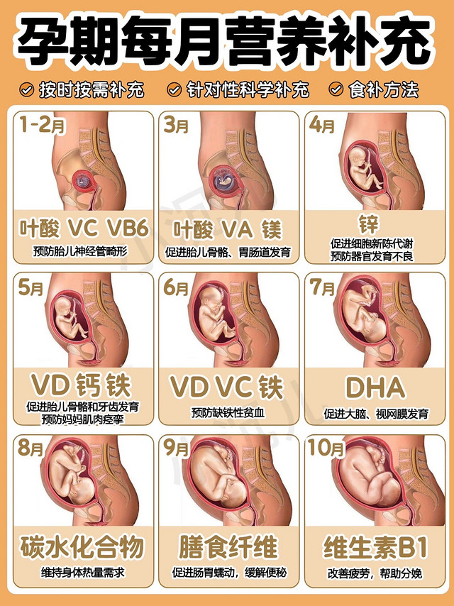 孕期营养补充✅长胎不长肉👶🏻营养均衡