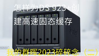 群晖NAS非官方入门手册 篇七十七：我的群晖2023碎碎念（二）怎样为DS 923+创建高速固态缓存 