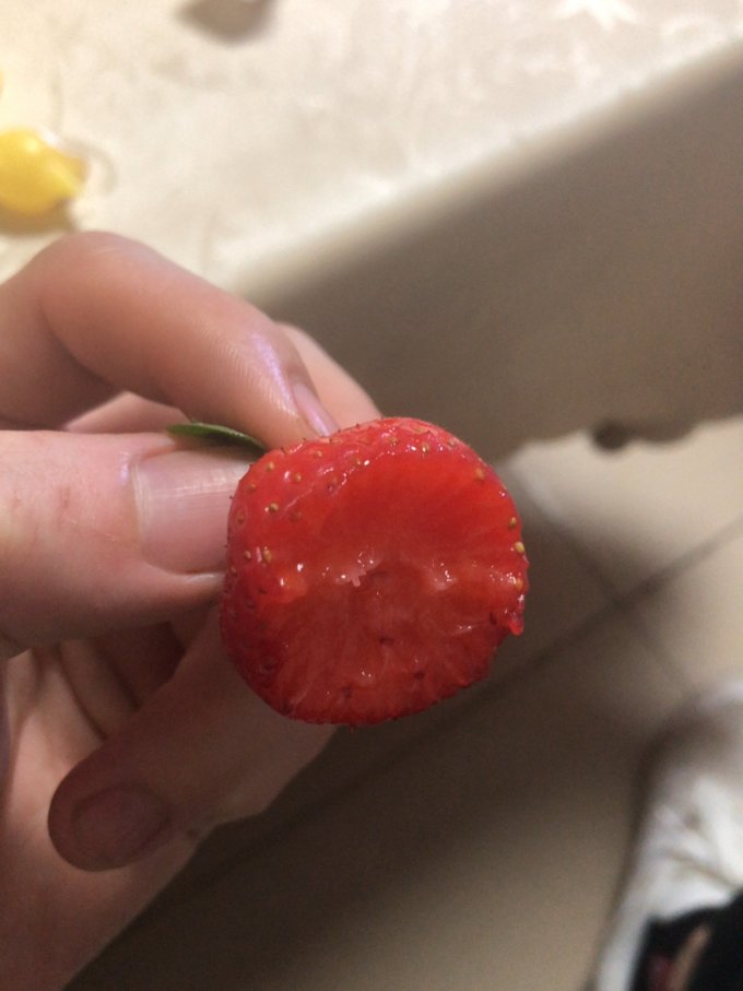 草莓