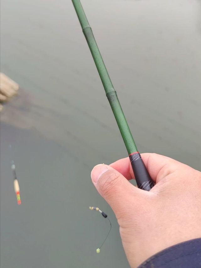 失败的鳑鲏钓手。