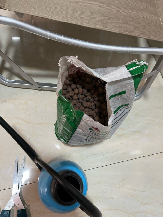 绿族鲜花绿植