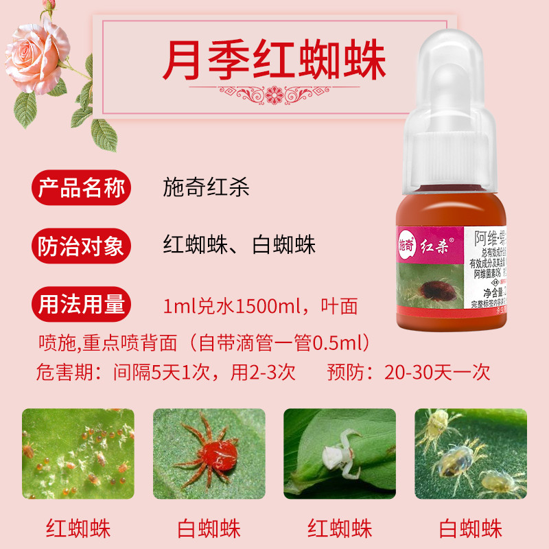 春光灿烂，花团锦簇，月季病虫防治怎么做？