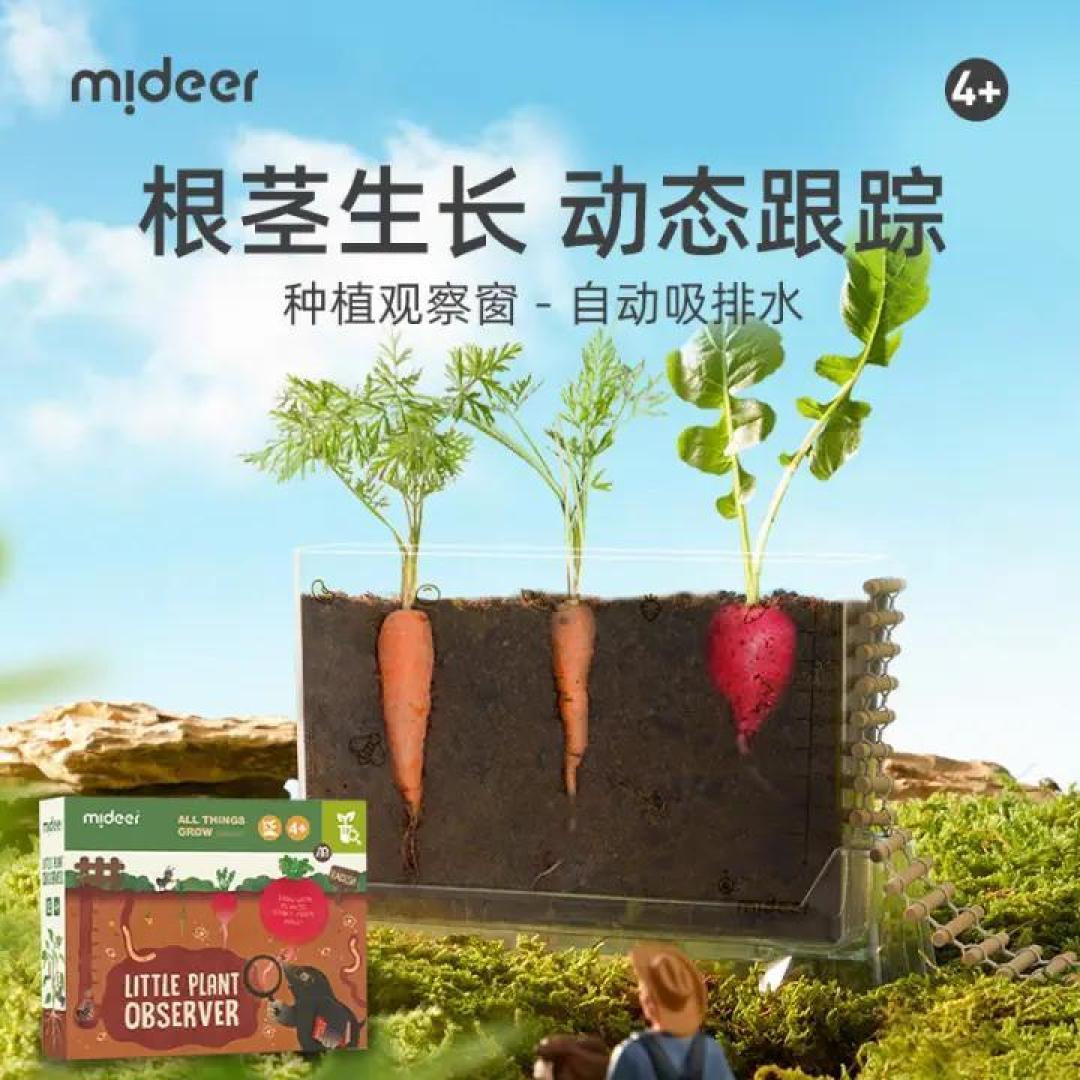 给孩子们的春天专属礼物