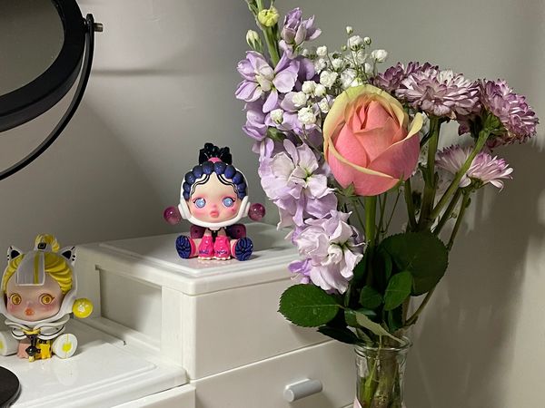 大学生鲜花养成日记