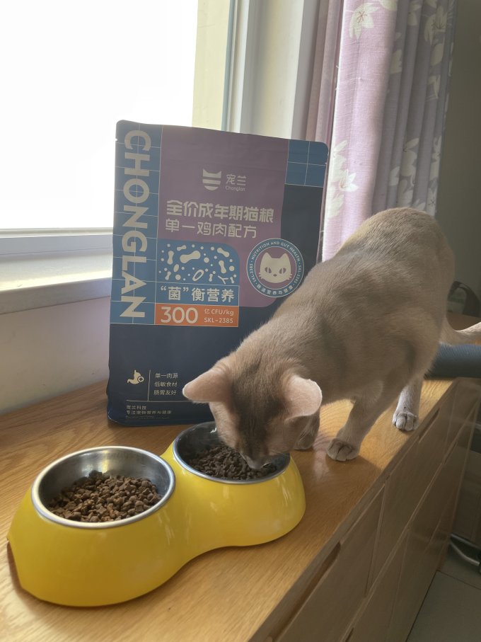 宠兰猫咪干粮