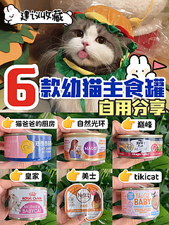 6款幼猫主食罐自用分享｜新手养猫