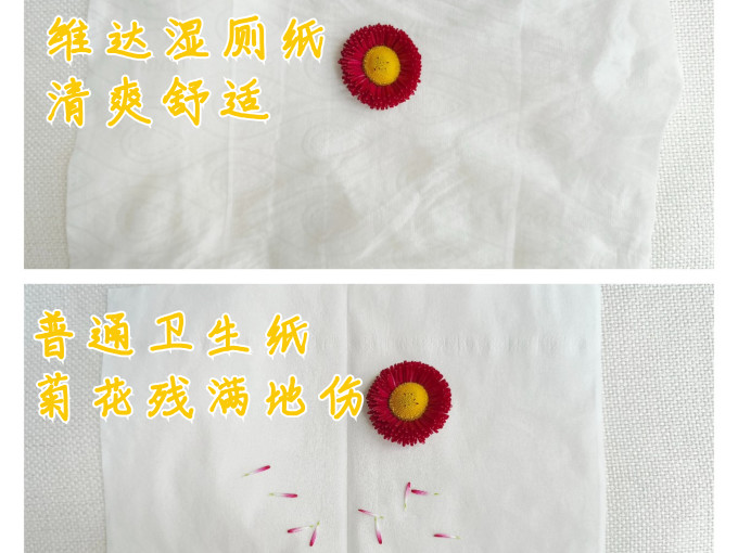 湿厕纸