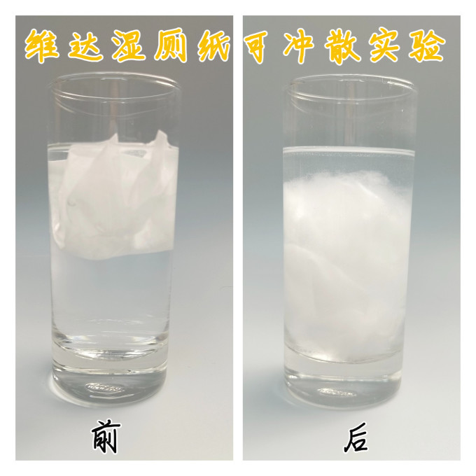 湿厕纸