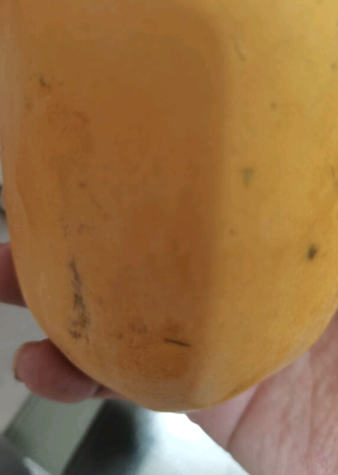 其他水果