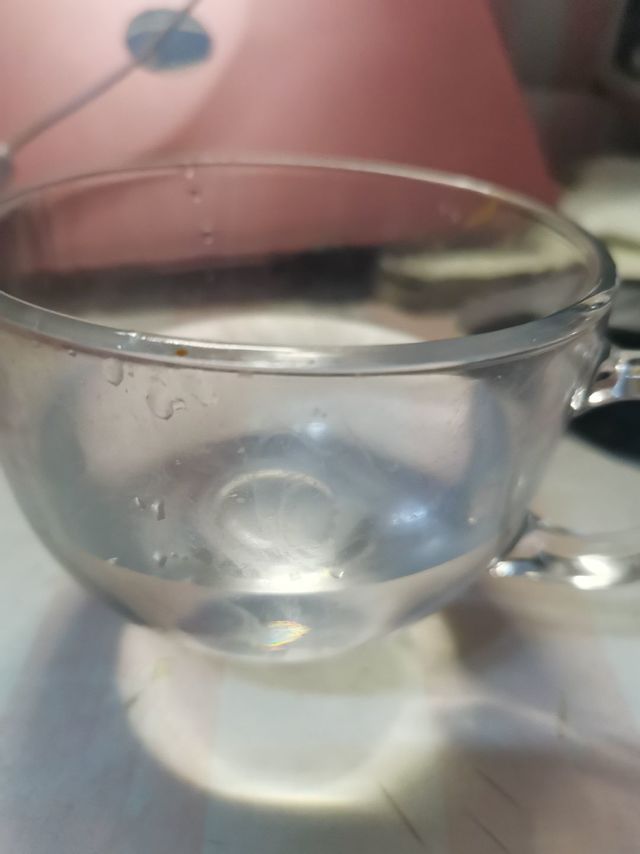 琥珀金玻璃杯燕麦早餐杯子家用带把水杯大容