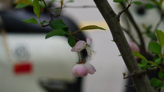 摩托车骑行装备
