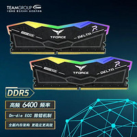 十铨(Team)DELTA炫彩RGBDDR56400台式机灯条高频电脑内存条黑色32G（16Gx2）