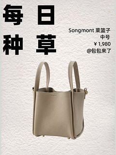 每天认识一只包｜Songmont 中号菜篮子