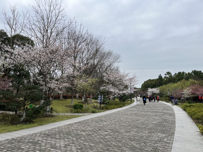 国内度假