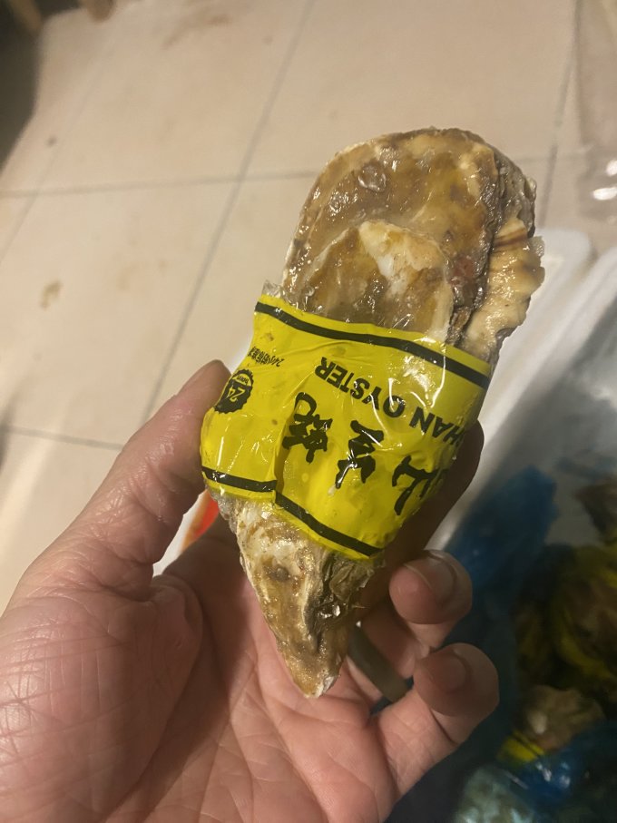 九能海鲜水产