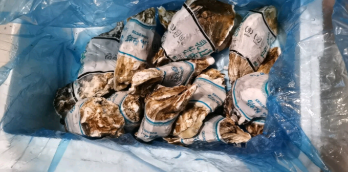 澳角灯塔贝类