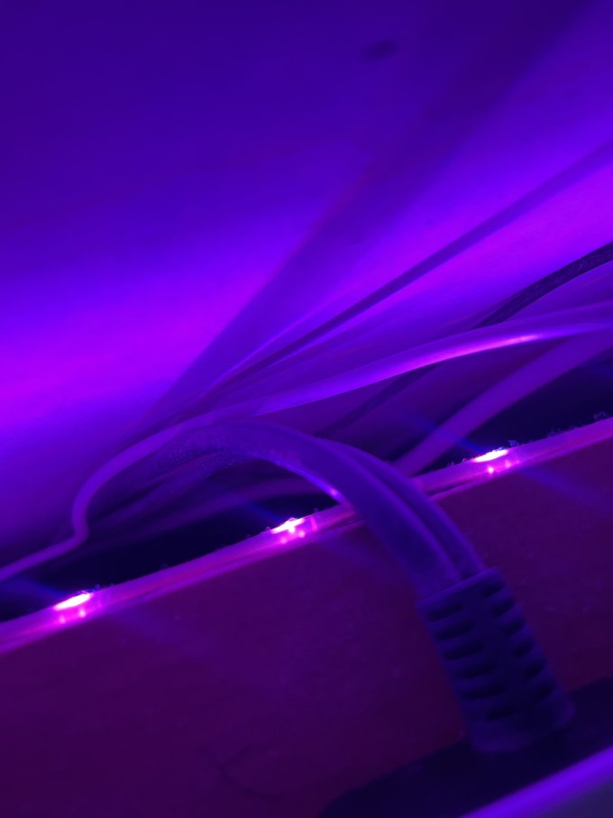 LED灯