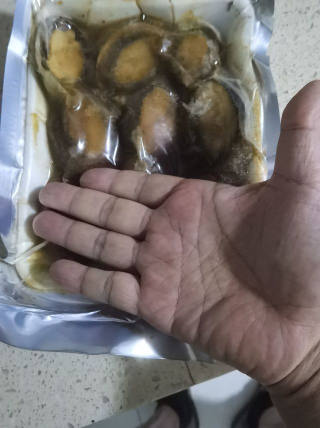 大鲍鱼