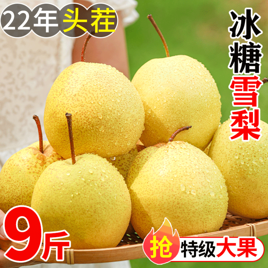 适合春季的一些家常养生菜